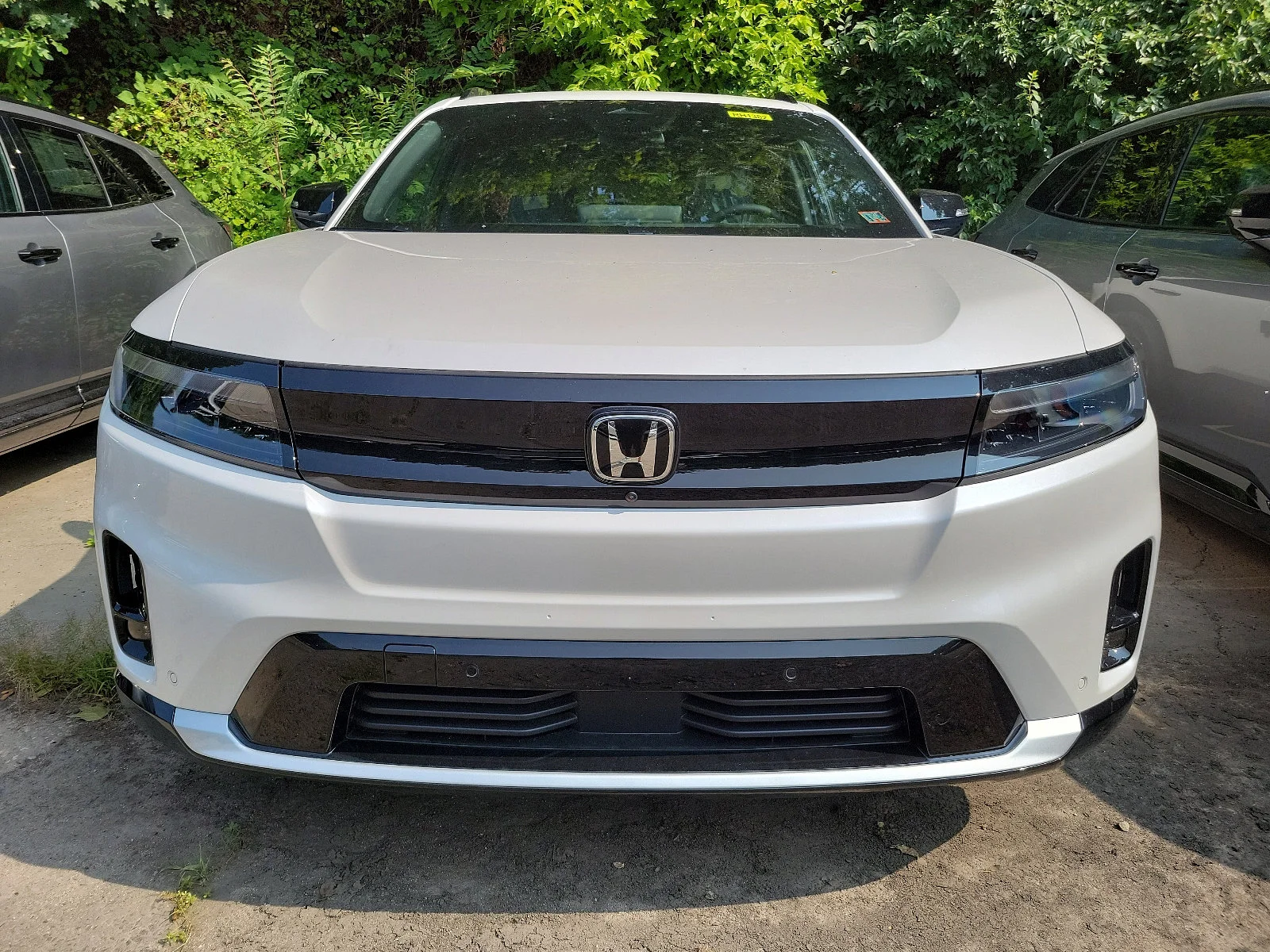 New 2024 Snowfall Pearl Honda Elite image 2