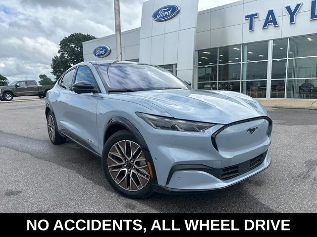 Used 2024 Glacier Gray Metallic Ford Premium image 3