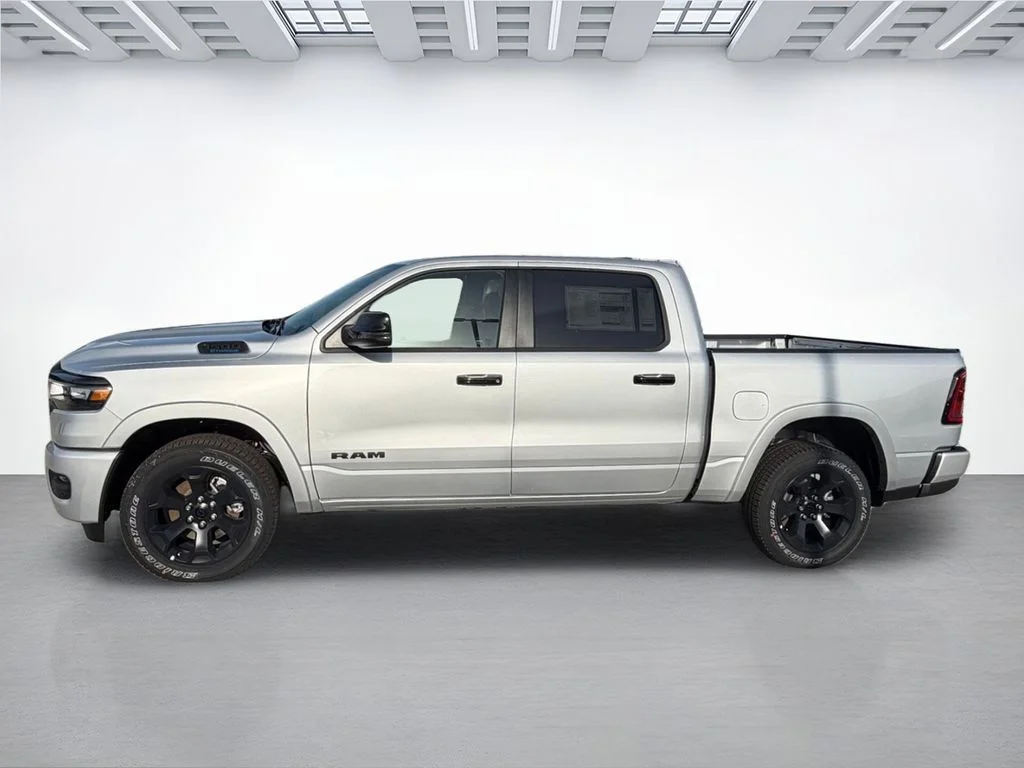 New 2026 Silver Zynith Exterior Paint RAM Big Horn/Lone Star image 6