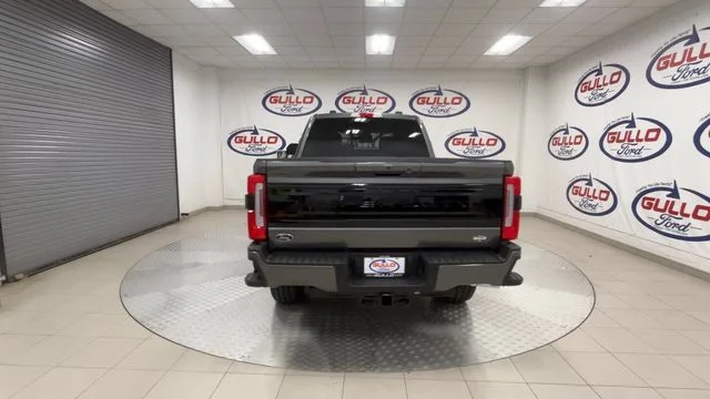 New 2026 Carbonized Gray Metallic Ford Platinum image 9