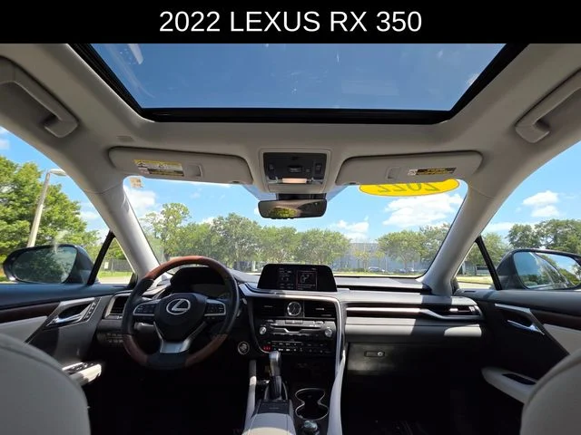 2022 Lexus RX 350 - Photo 20