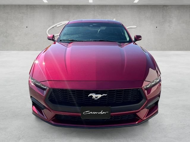 Used 2025 Red Ford EcoBoost image 18