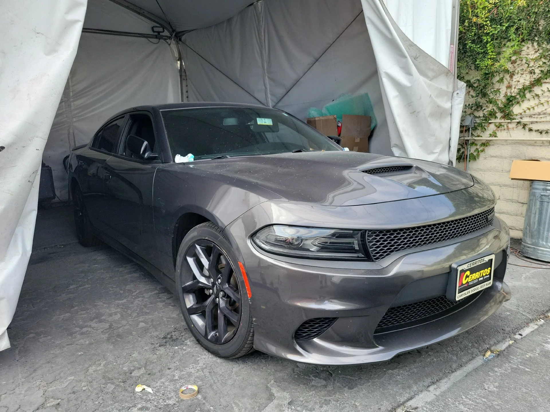 Used 2023 Gray Dodge GT image 2