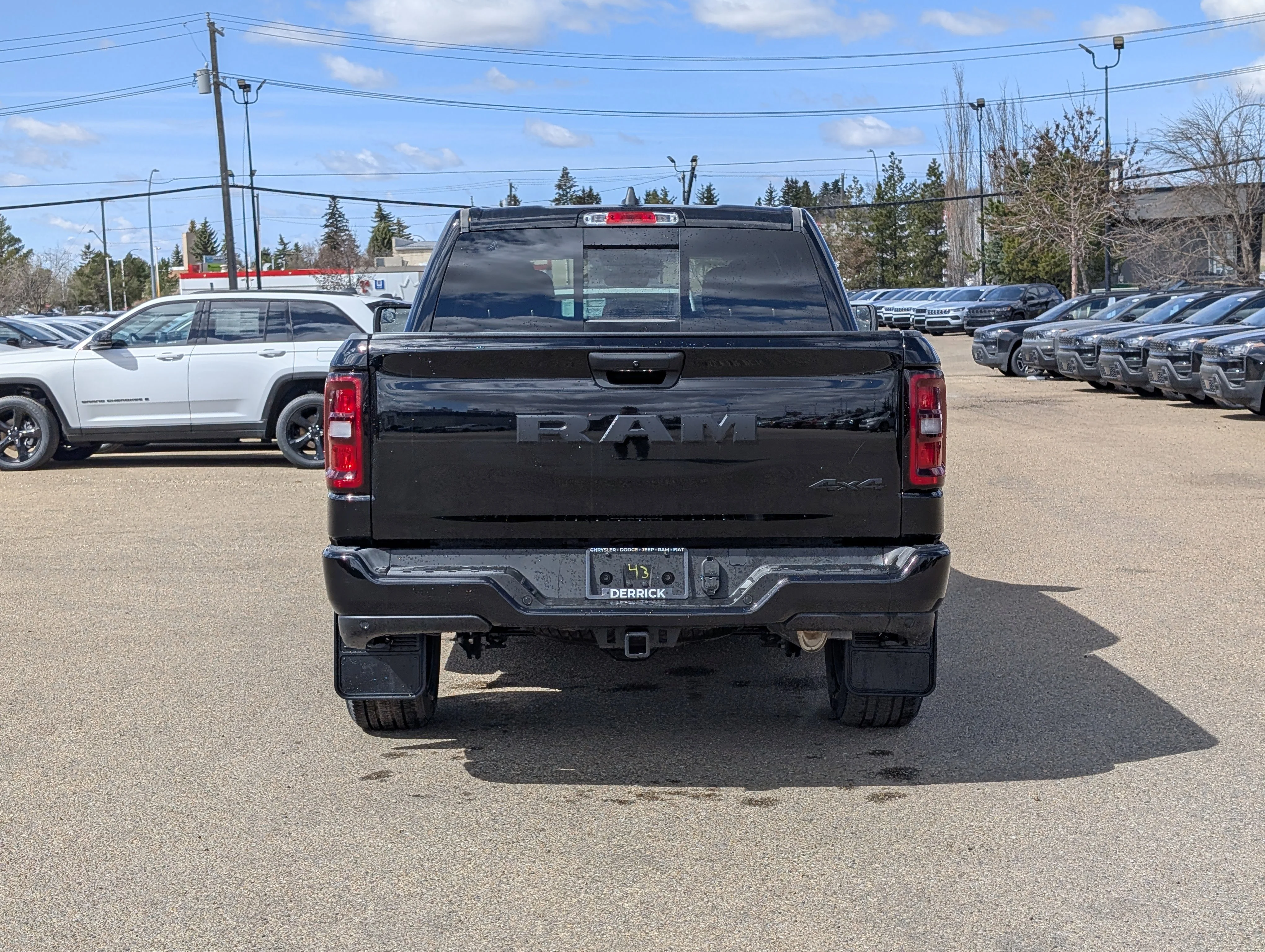 New 2026 Diamond Black Crystal Pearl Ram Express image 5