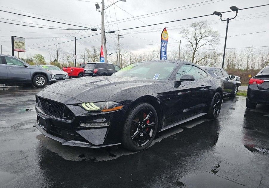 2019 Ford Mustang GT Coupe Premium's photo
