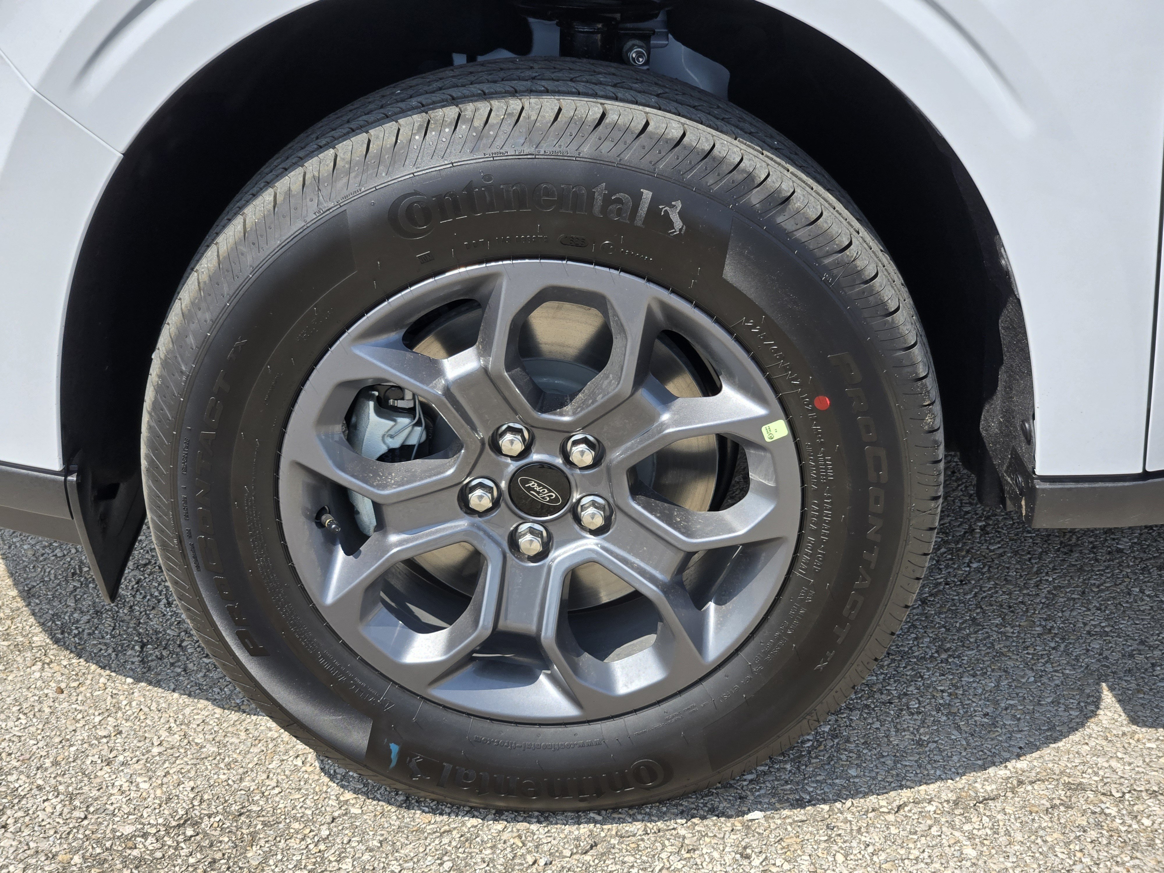 New 2026 Oxford White Ford XLT image 7
