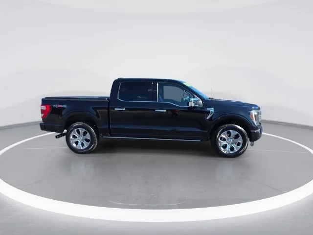 Used 2023 Black Ford Platinum image 3