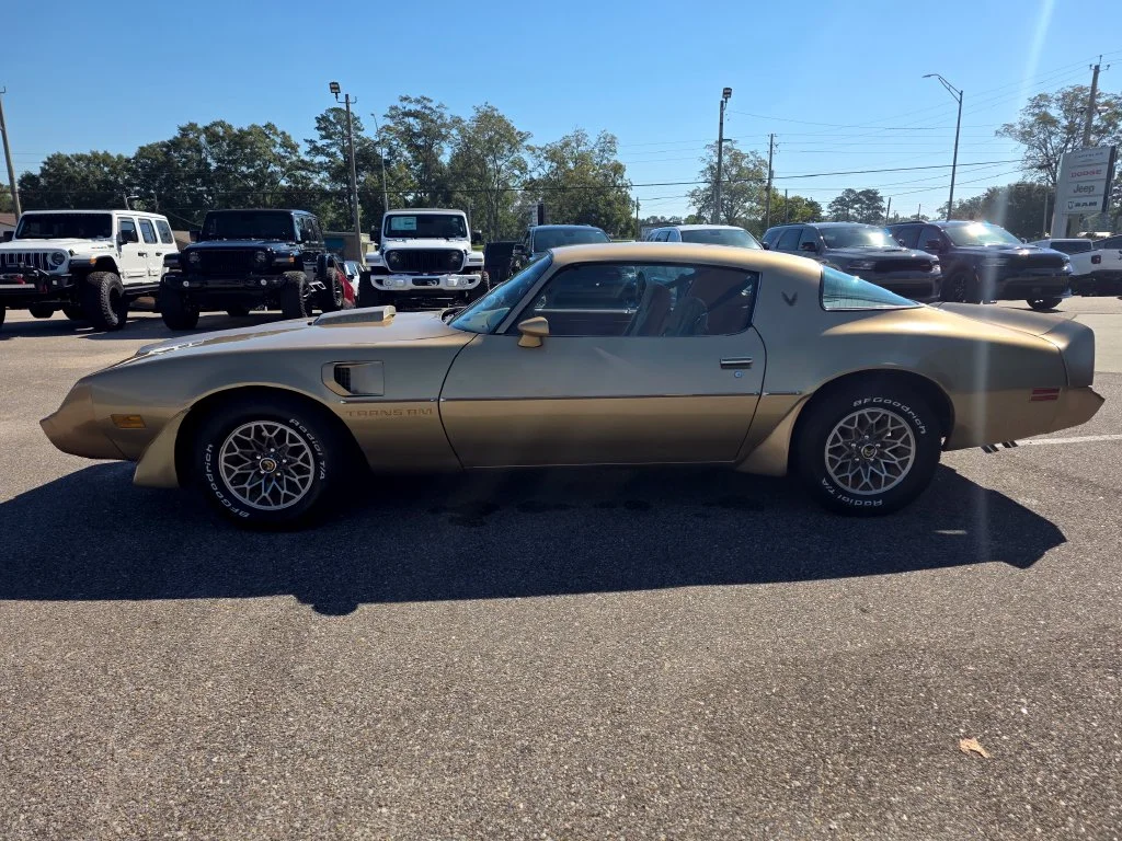 Used 1979 Gold Pontiac Trans Am image 2