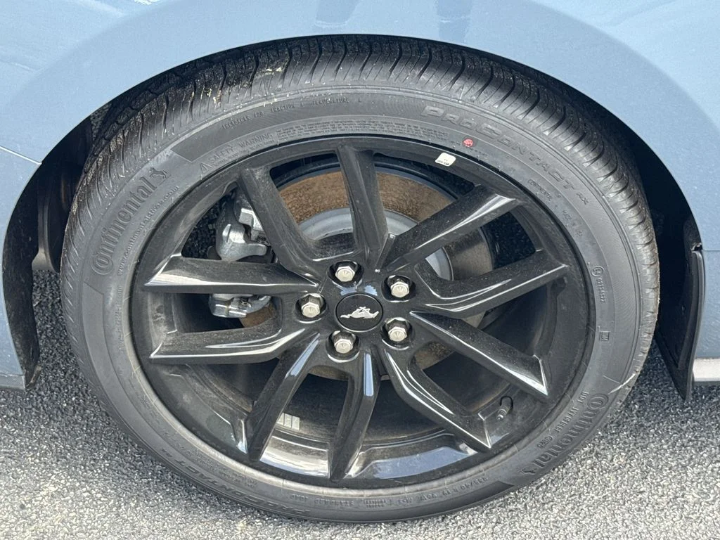 New 2026 Blue Ford EcoBoost image 16
