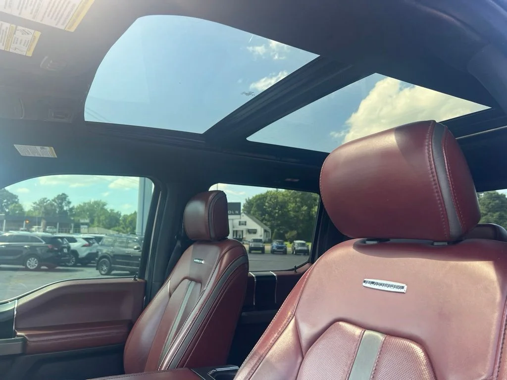 Used 2020 Silver Ford Platinum image 11