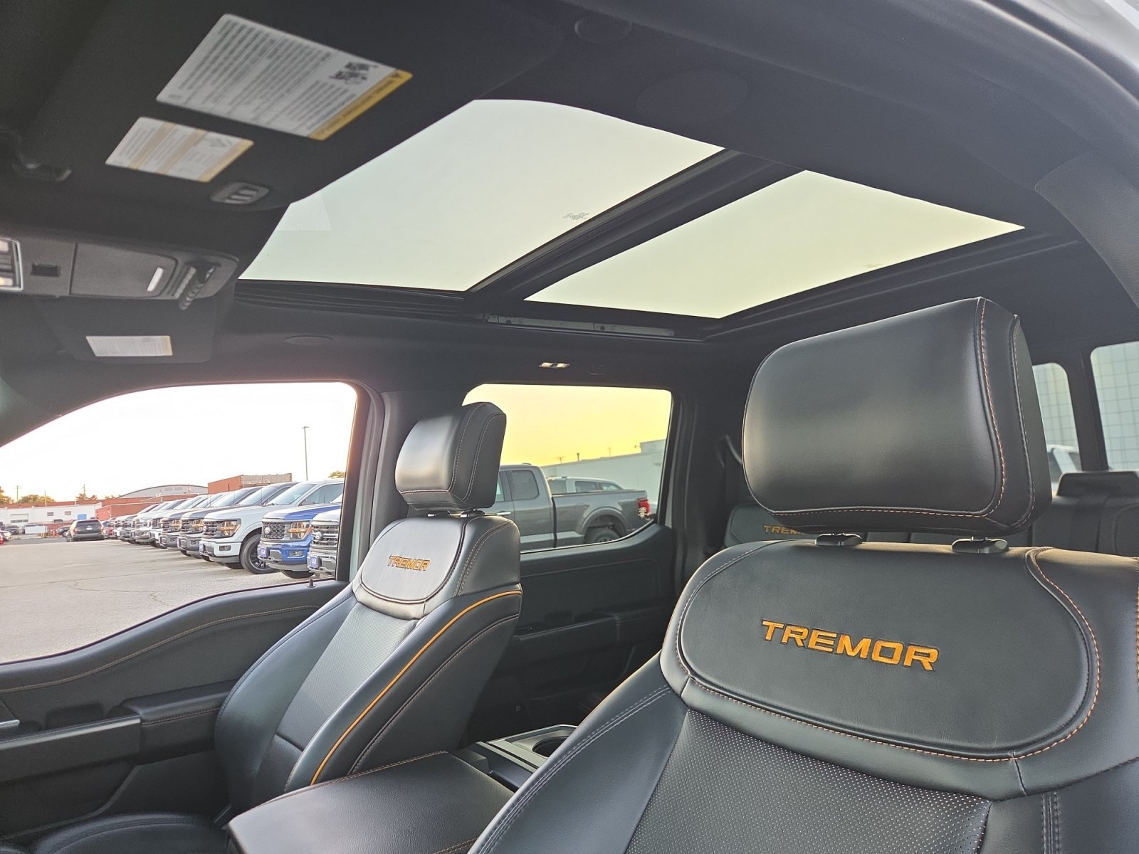 2025 Ford F-150 Tremor - Photo 19