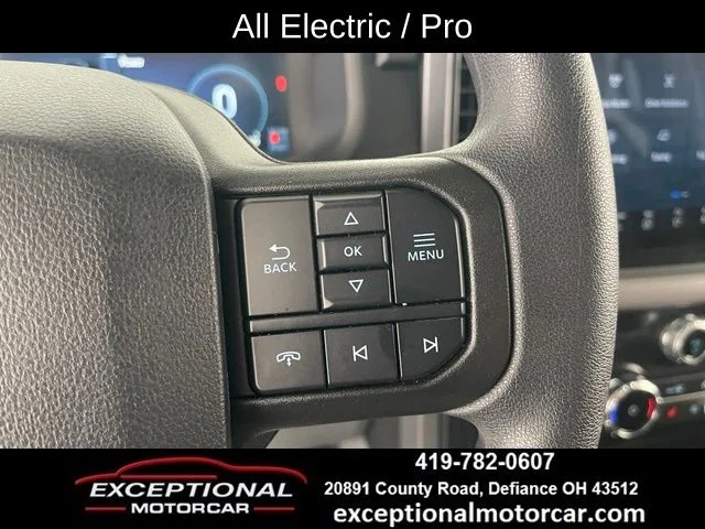 Used 2025 Gray Ford Pro image 37