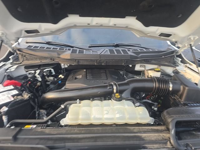 Used 2023 White Ford XLT image 22