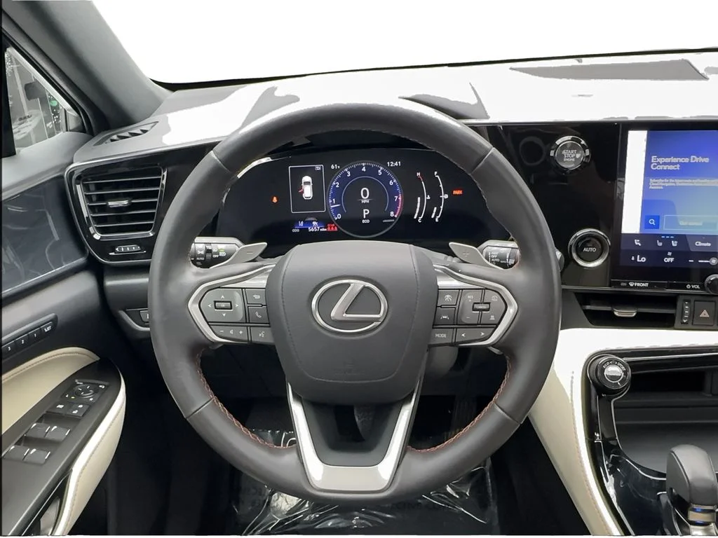 Used 2024 Red Lexus 250 Premium image 38