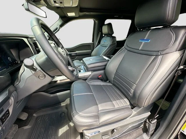 New 2026 Black Metallic Ford Platinum image 15