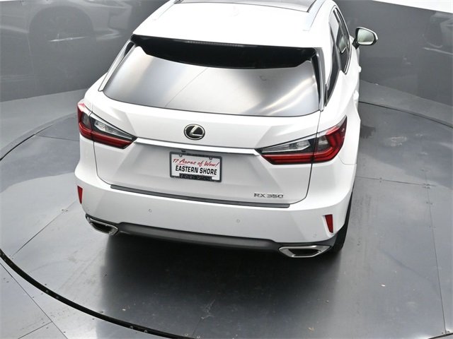 View 20