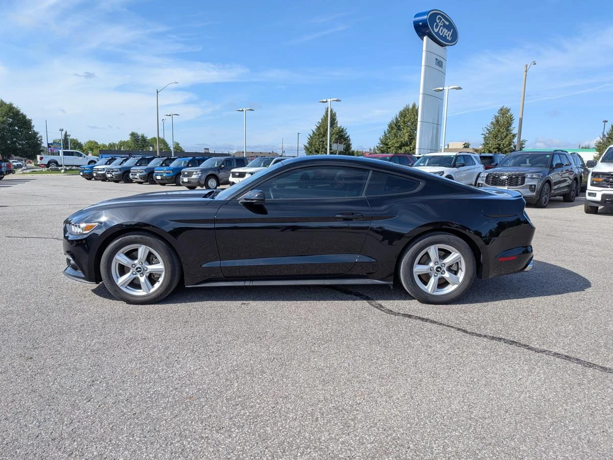 Used 2015 Black Ford 2dr Fastback image 9