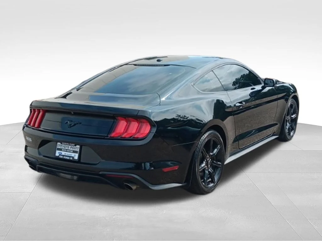 Used 2019 Shadow Black Ford EcoBoost Premium image 12