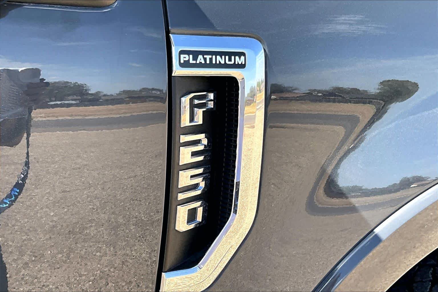 Used 2021 Lithium Gray Ford Platinum image 10