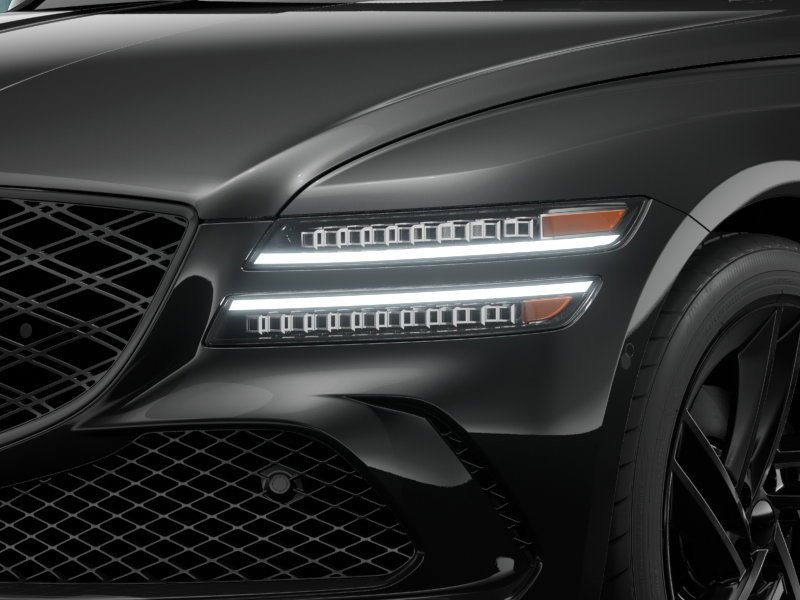 New 2027 Vik Black Genesis  image 25