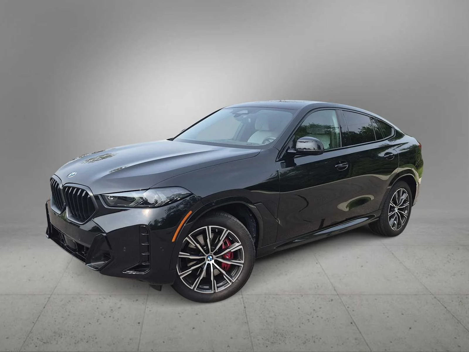 2026 BMW X6