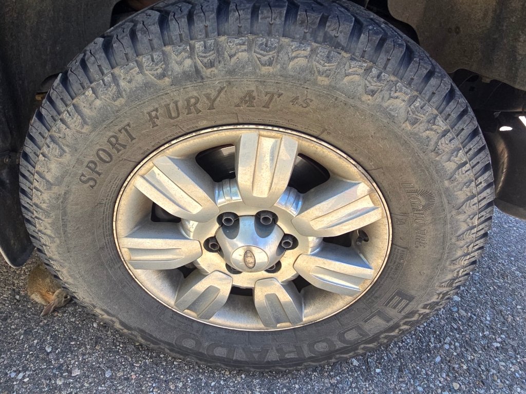 Used 2011 Tuxedo Black Metallic Ford XLT image 8