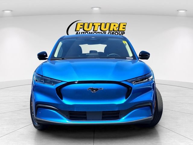 Used 2025 Blue Ford Premium image 2