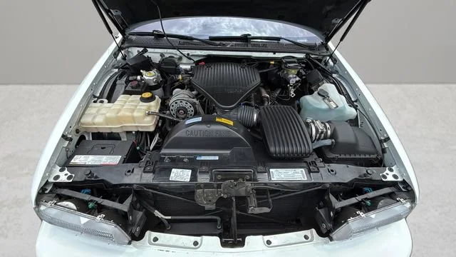 Used 1996 White Chevrolet 1SA Special Value Pkg image 28
