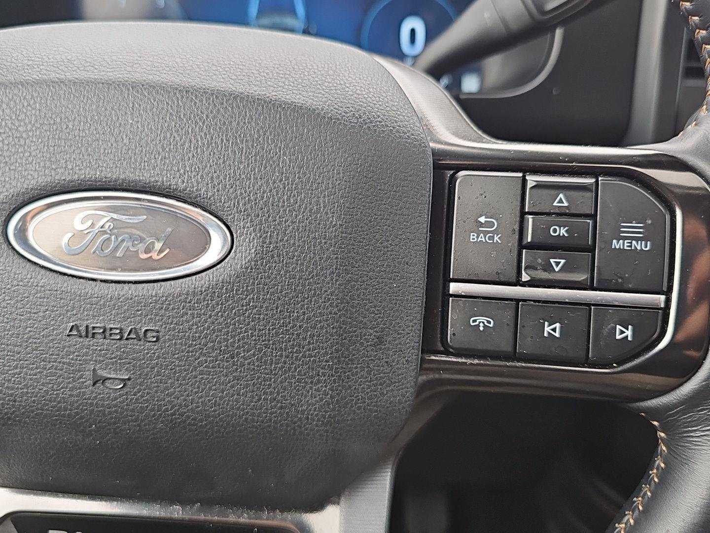 Used 2024 Agate Black Ford Platinum image 21