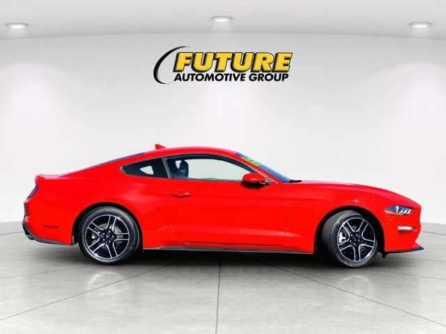 Used 2023 Red Ford EcoBoost Premium image 3