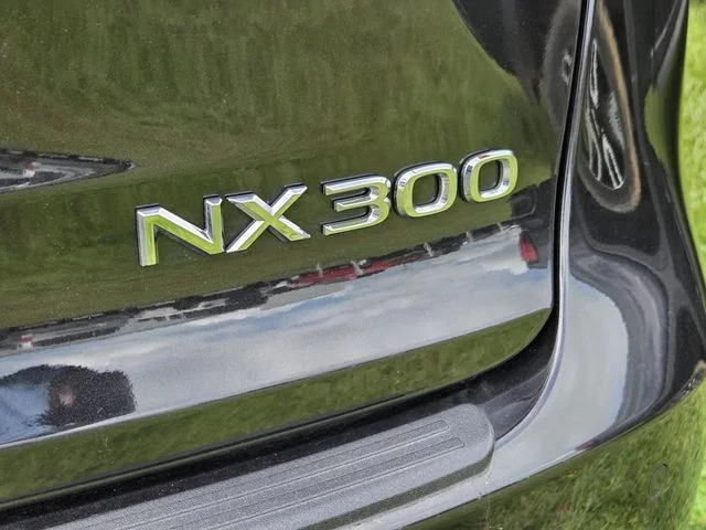 Used 2019 Black Lexus 300 Base image 8