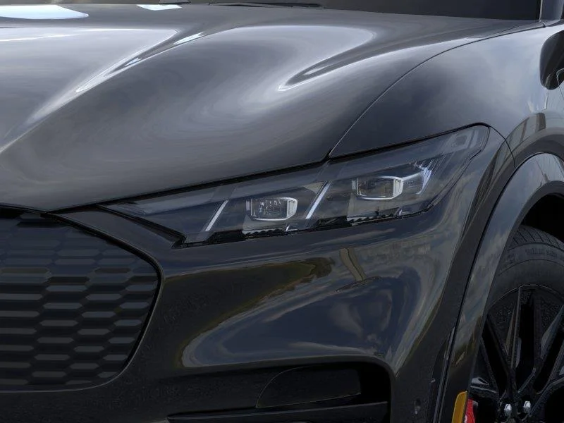 New 2025 Shadow Black Ford Premium image 18