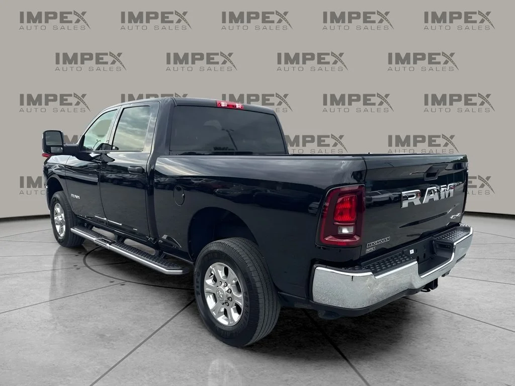 Used 2026 Black Ram Big Horn image 3