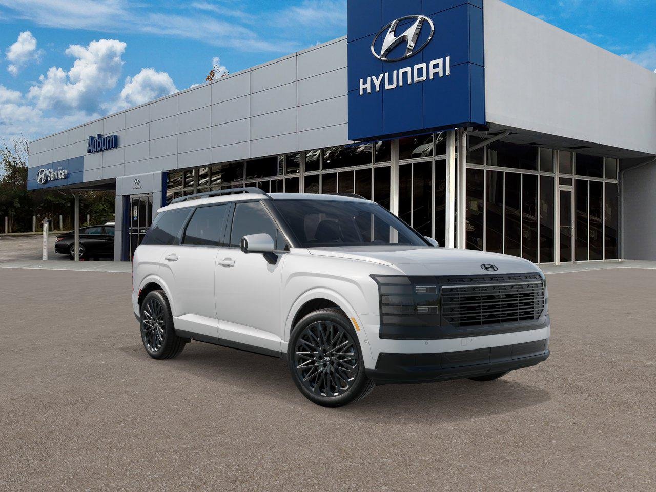New 2027 White Hyundai Calligraphy Black Ink image 2