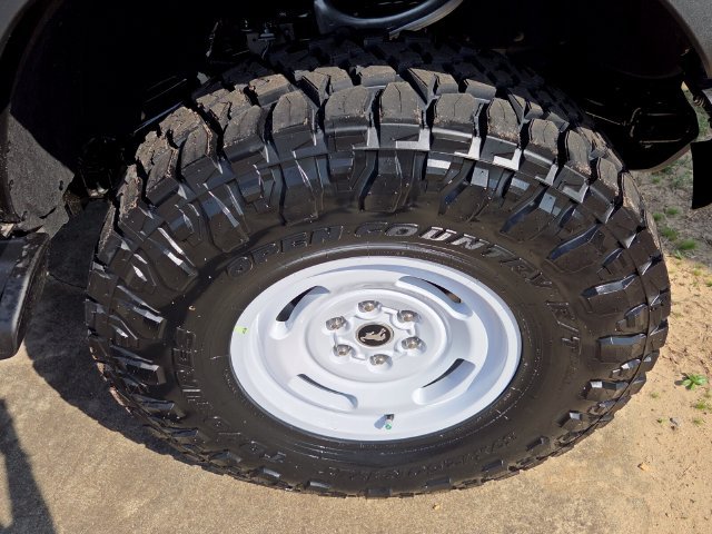 New 2026 Marsh Gray Ford Heritage Edition image 13