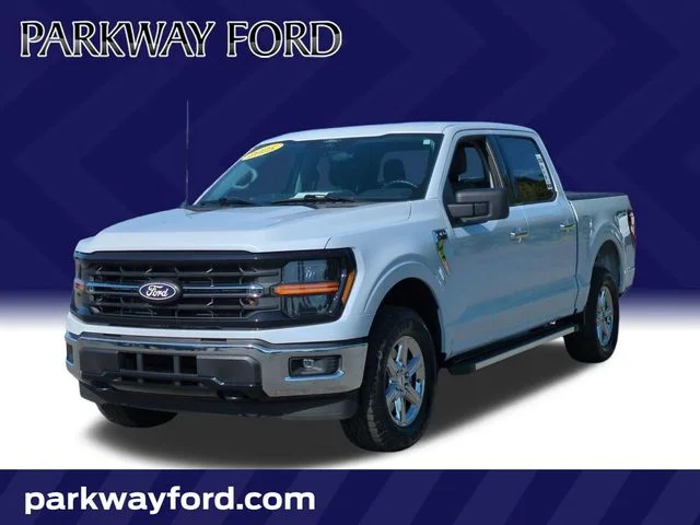 Used 2025 White Ford XLT image 1
