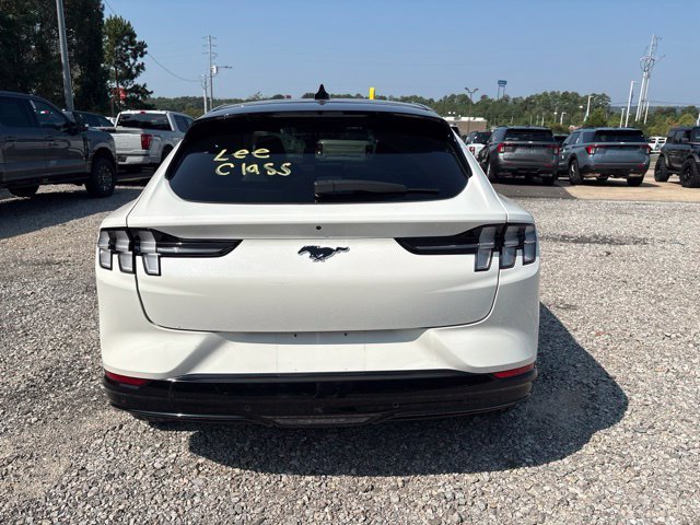 Used 2023 White Ford Premium image 6