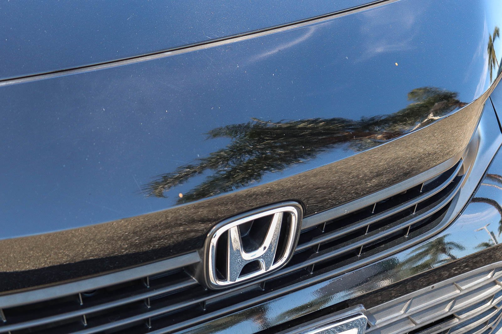 Certified Used 2024 Crystal Black Pearl Honda Sport image 4