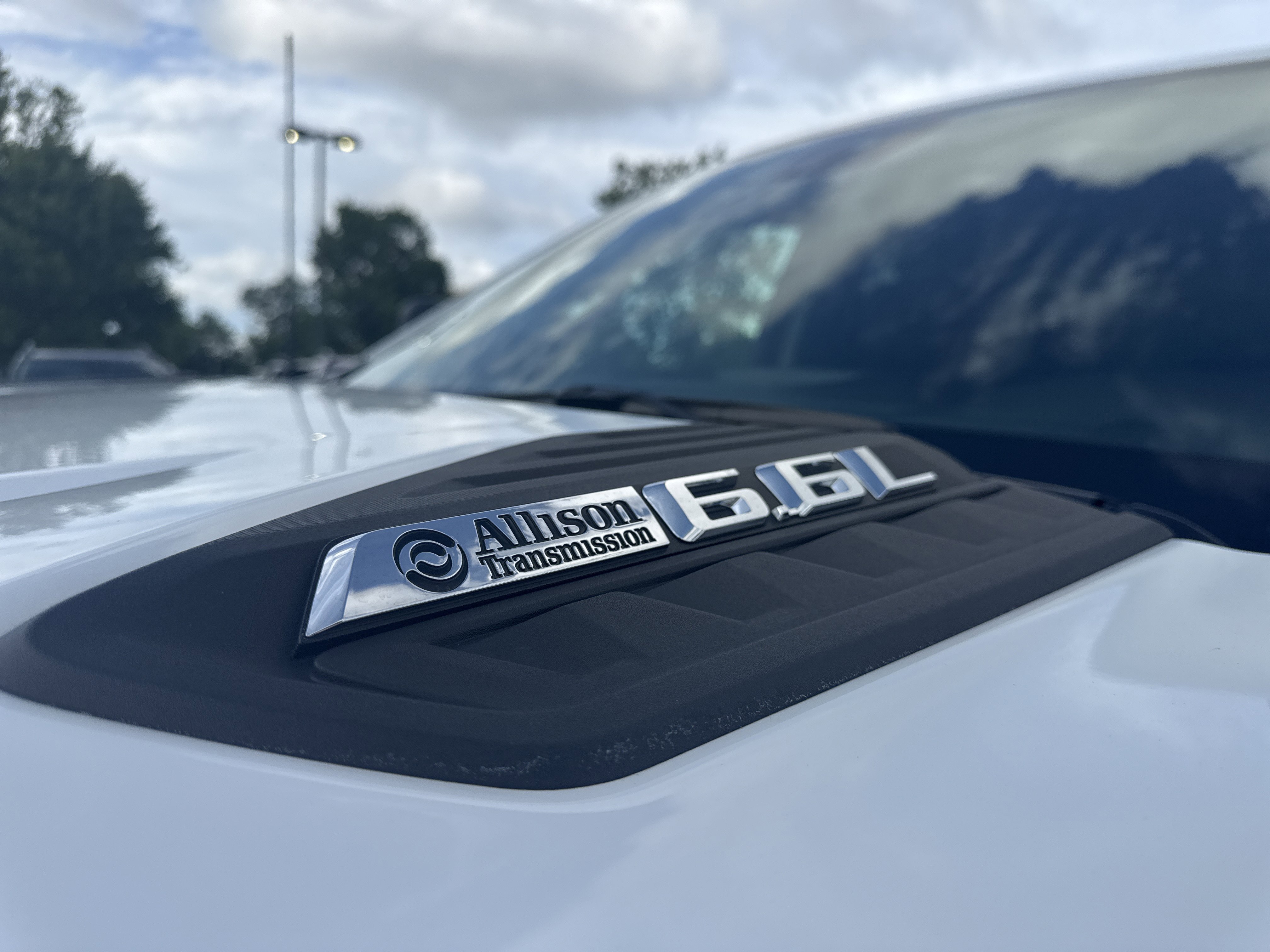 Used 2025 Summit White Chevrolet WT image 13