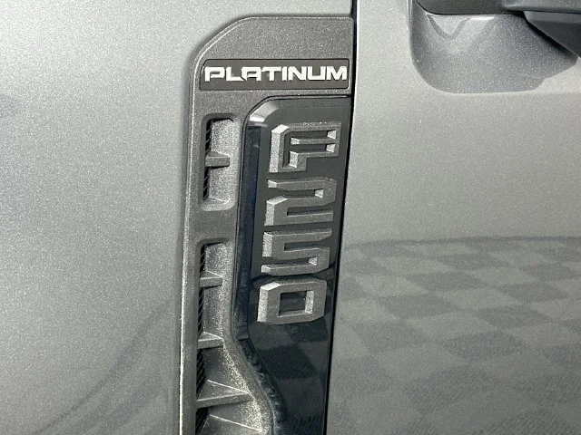 New 2026 Gray Ford Platinum image 26