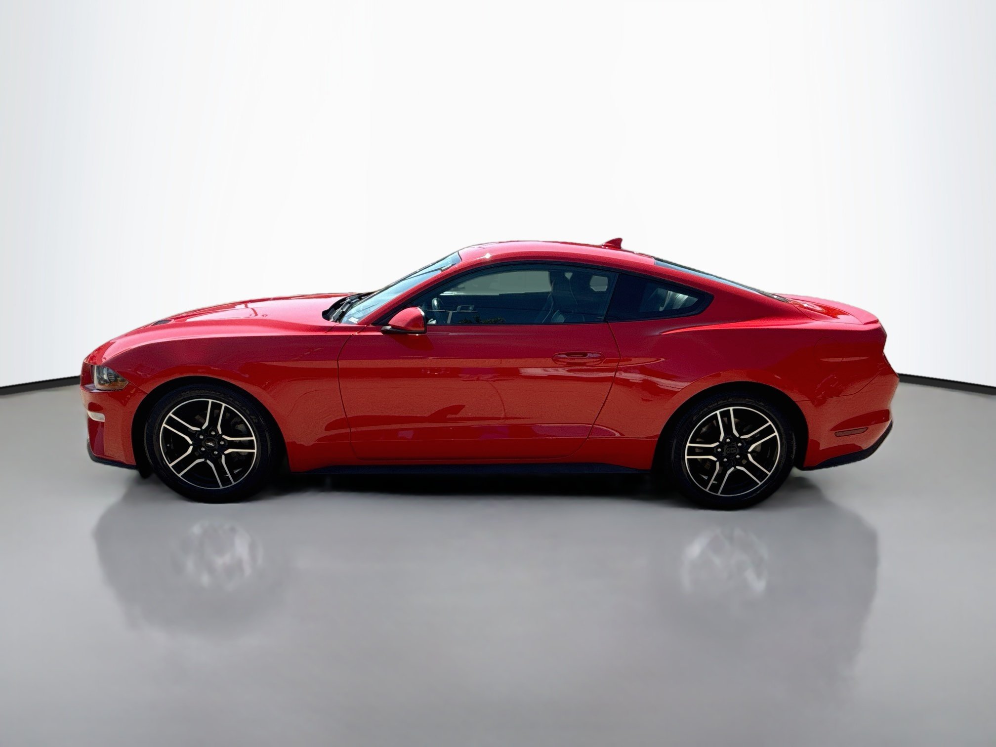 Used 2021 Race Red Ford EcoBoost Premium image 4