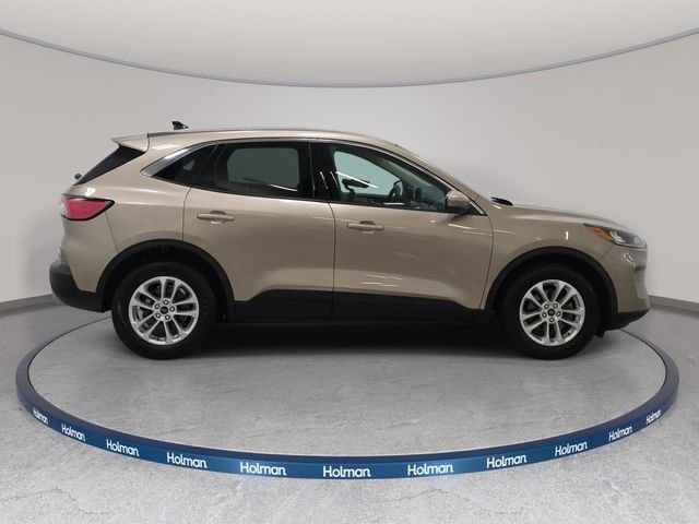 Used 2020 Gold Ford SE image 5