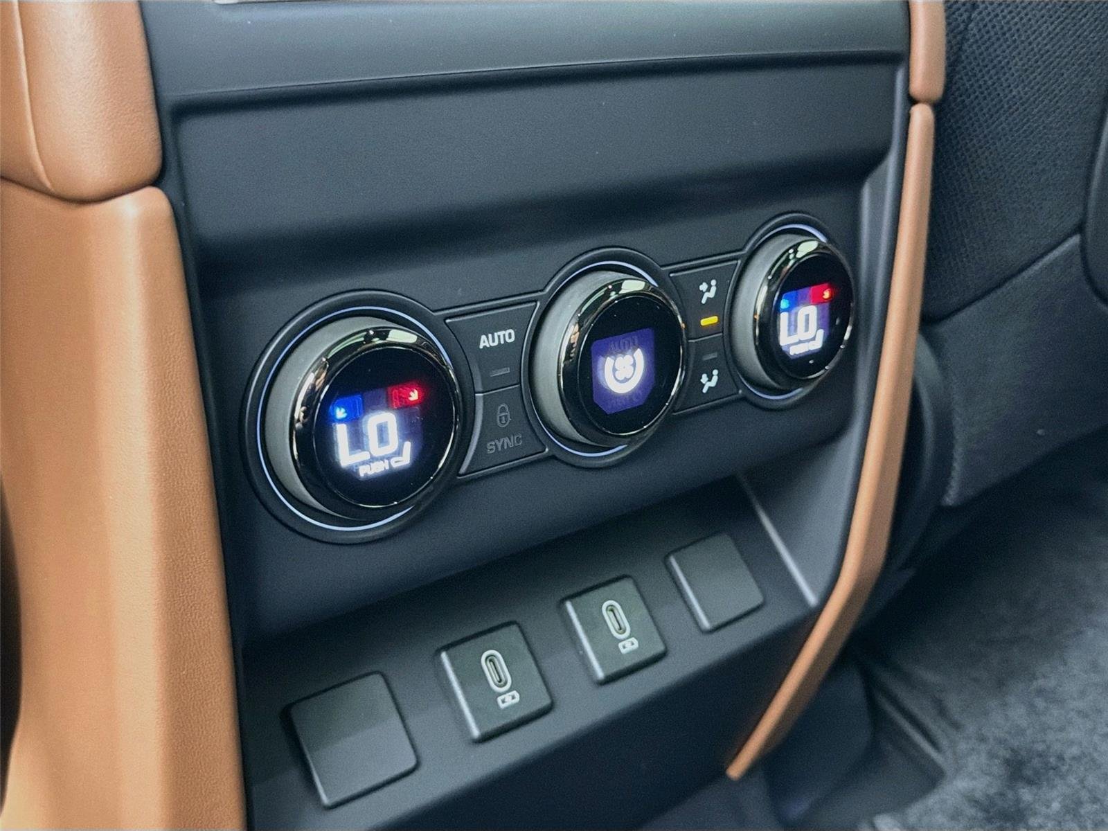 New 2026 Petra Copper LAND ROVER  OCTA image 25