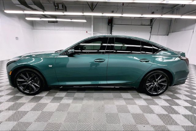Used 2025 Typhoon Metallic Cadillac Sport image 14