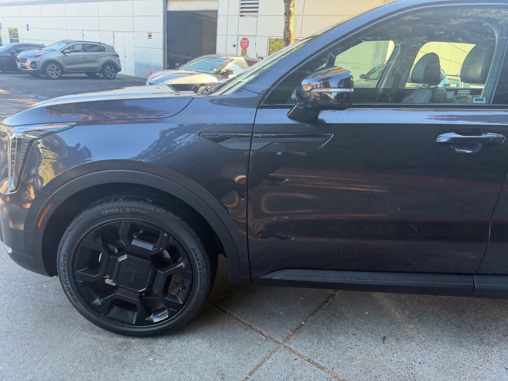 Used 2025 Panthera Metal Kia X-Line EX image 8
