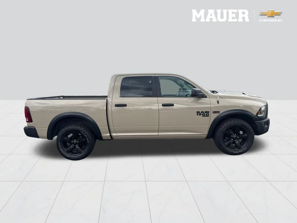 Used 2019 Beige Ram Warlock image 7