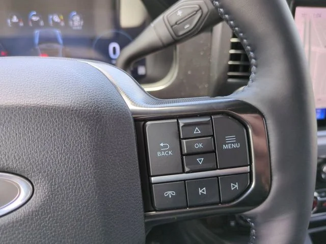 New 2026 Agate Black Metallic Ford F-250® Platinum® image 26