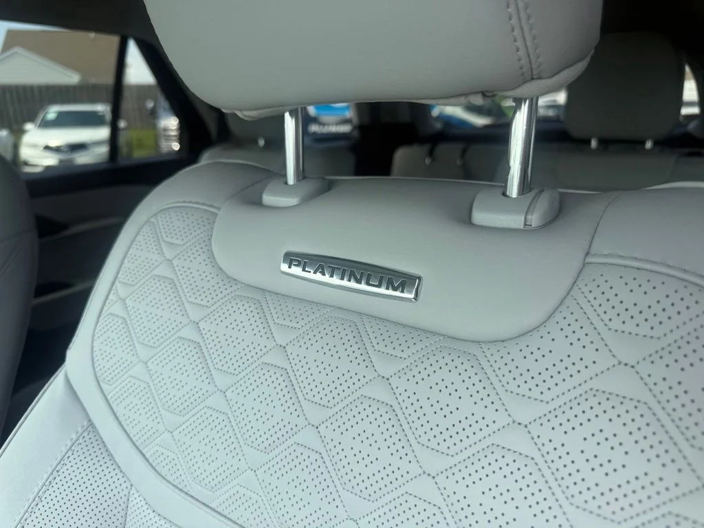 Used 2025 White Metallic Ford Platinum image 19