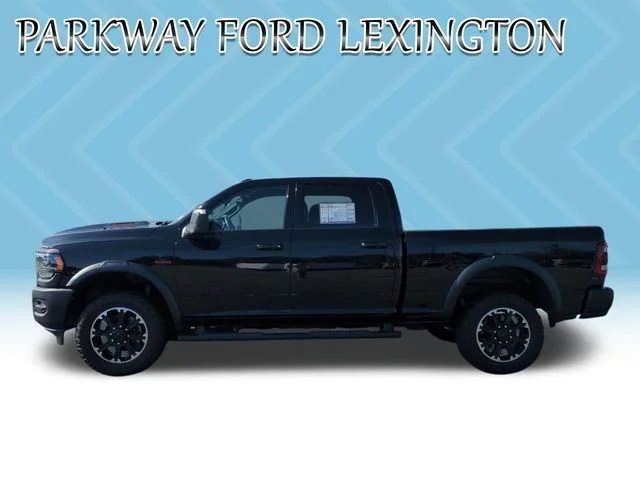 Used 2024 Black Ram Rebel image 2