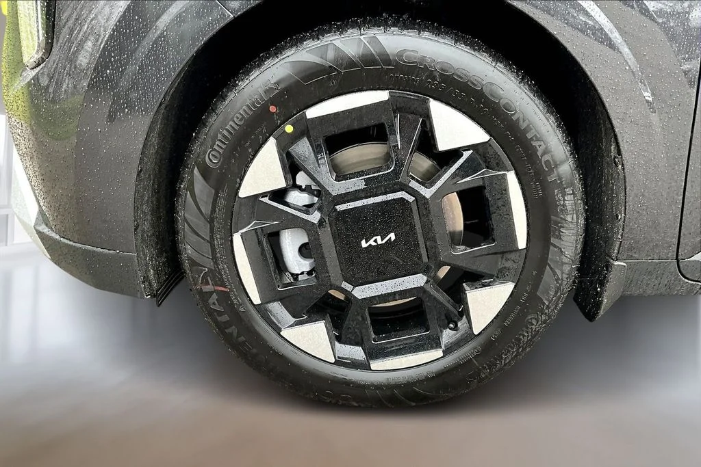 New 2026 Panthera Metal Kia EX image 11